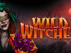 Wild Witches game thumbnail